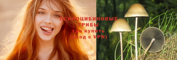 дживик Киренск