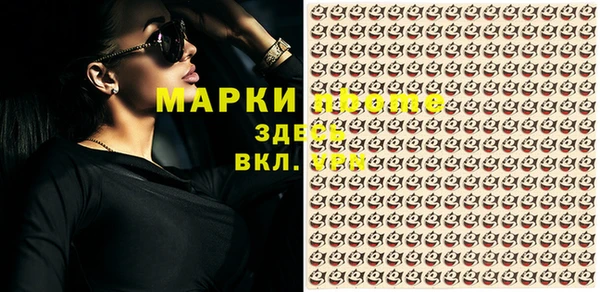 дмт Касимов