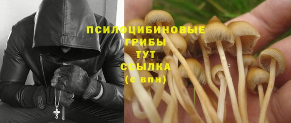 дмт Касимов