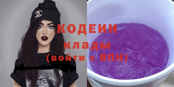 дживик Киренск