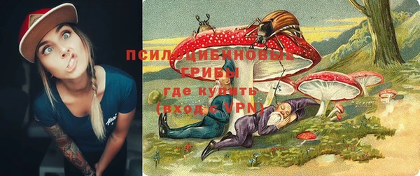 дживик Киренск