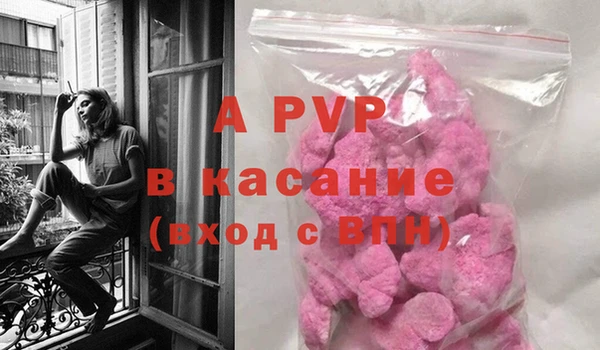 дмт Касимов