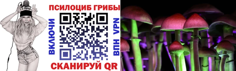 Псилоцибиновые грибы Psilocybe  Купить  Кувшиново 